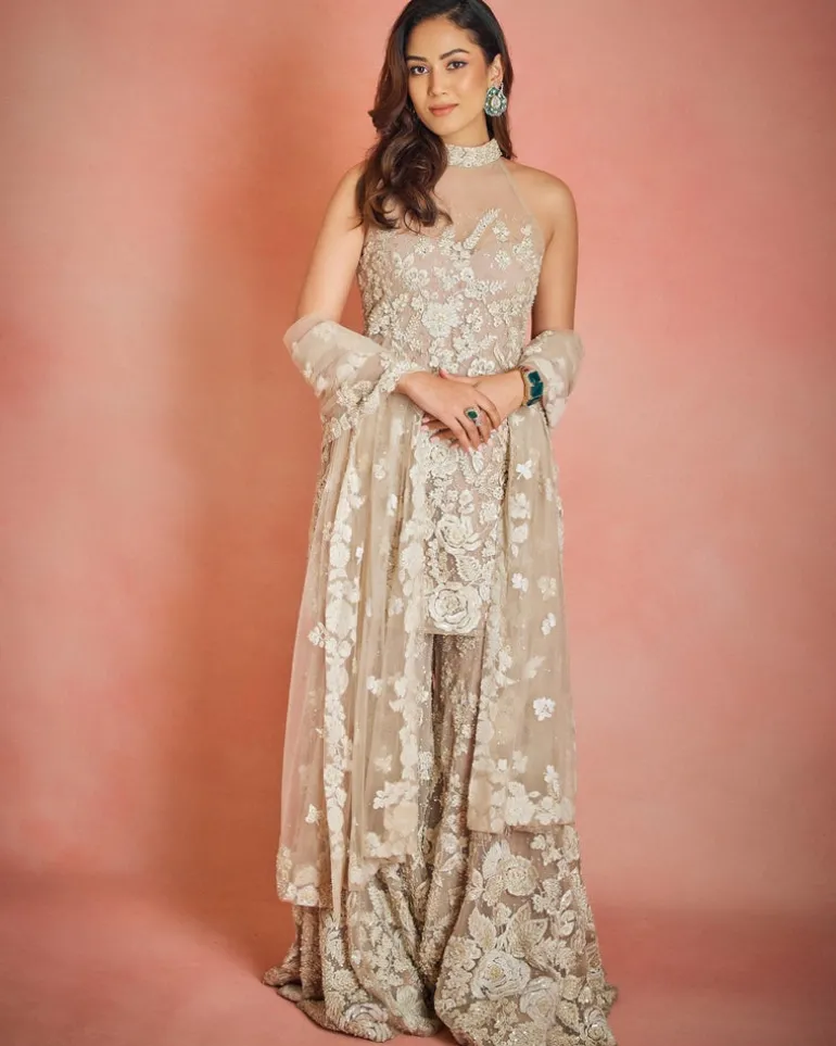 Nude Three-Dimensional Sharara Set