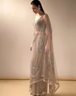 Nude Tulle Embroidered Sari Set
