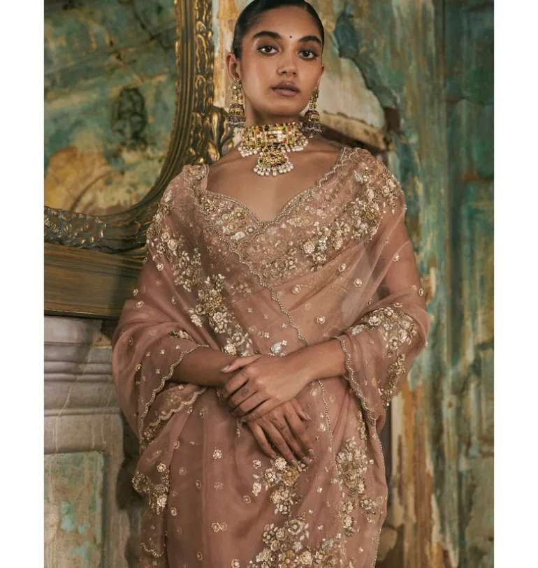 Old Rose Sequin And Moti Work Sari Set