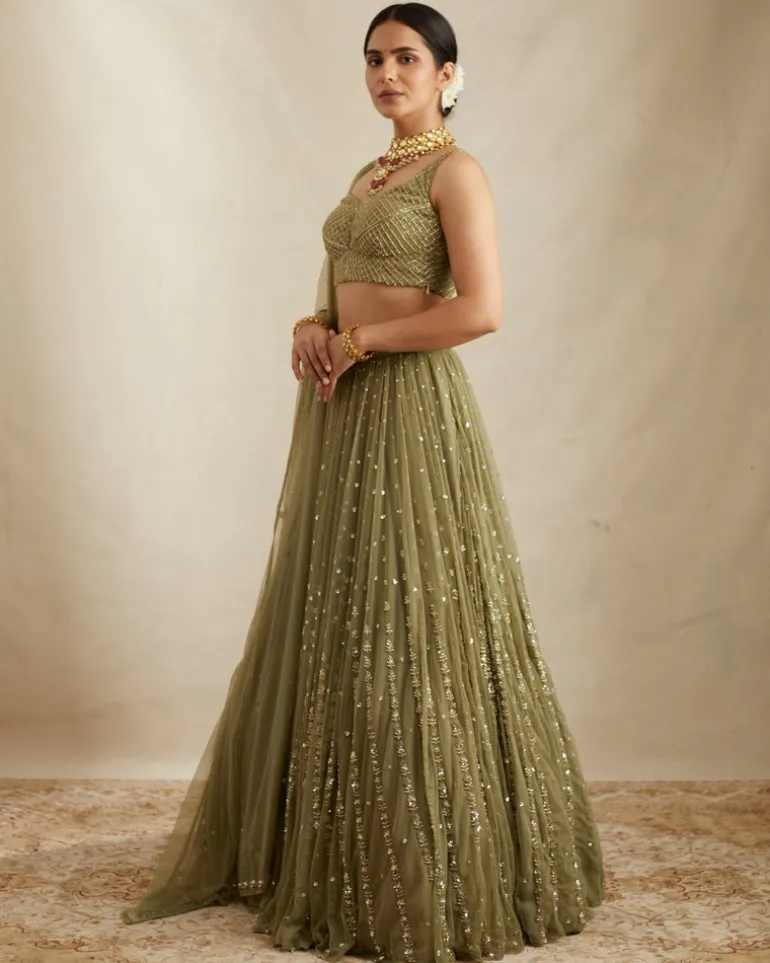 Olive Green Net Crepe Line Lehenga Set