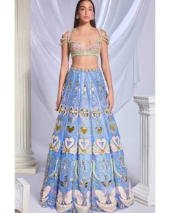 Once In A Blue Moon Lehenga Set