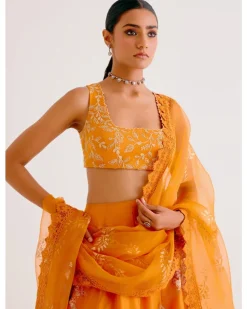 Orange Silk Chanderi Hand-Painted Lehenga Set