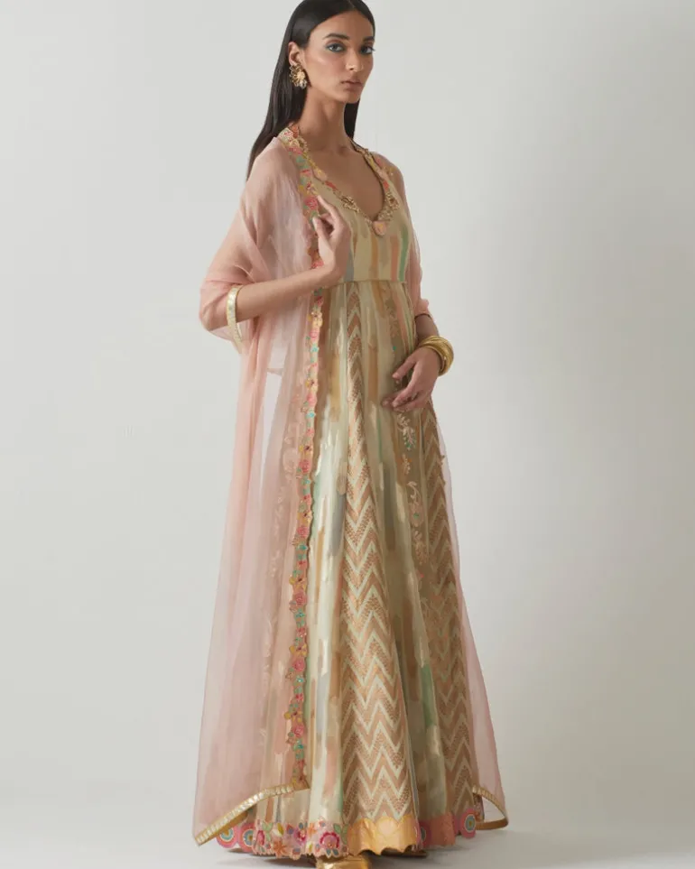 Organza Floral Anarkali Set