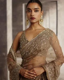 Organza Sari With Sequin & Cutdana Embroidery