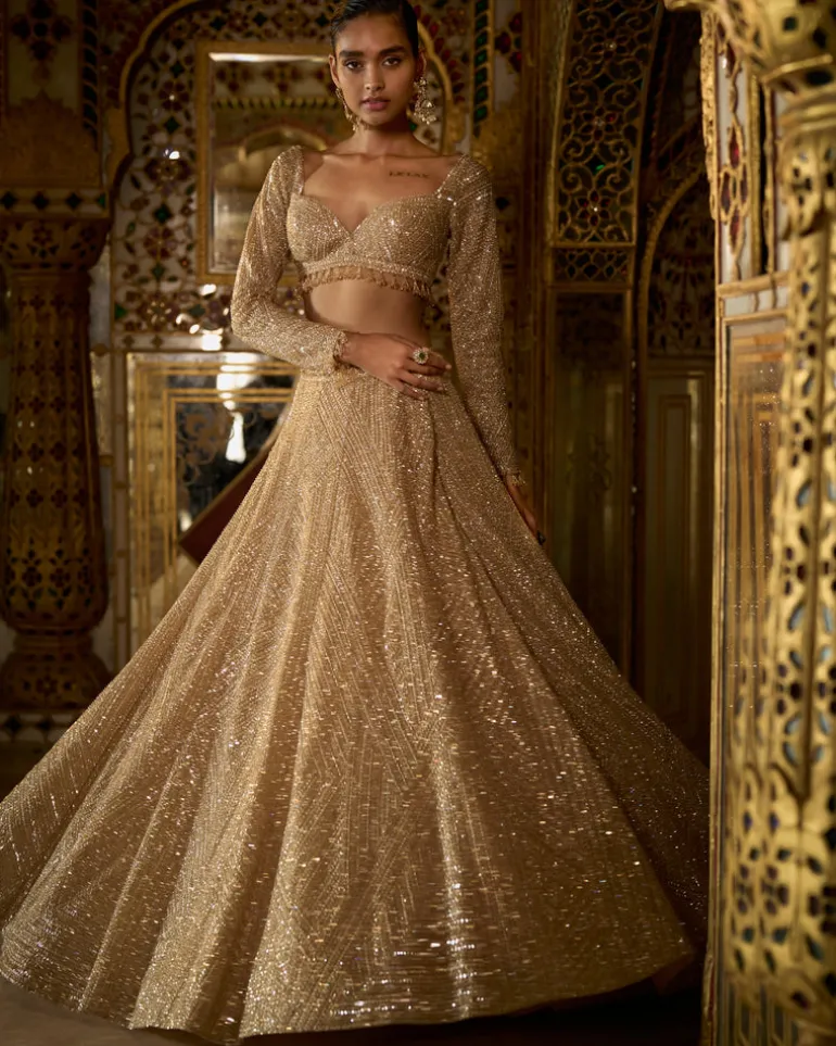 Palace Of Dreams Gold Sequin Lehenga Set