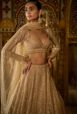 Palace Of Dreams Gold Sequin Lehenga Set