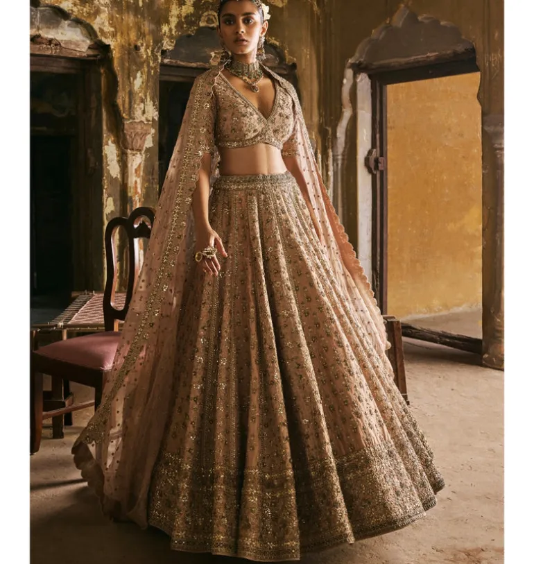 Peach Panels Lehenga Set