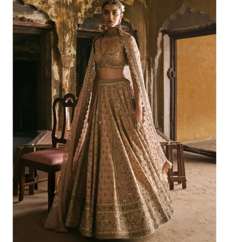 Peach Panels Lehenga Set