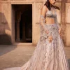 Phaenna Silver Shimmer Tulle Embroidered Lehenga Set