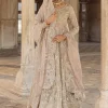 Pishwas Crushed Lehenga Set