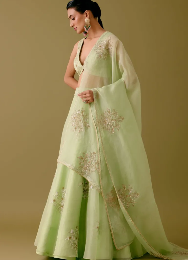 Pistachio Green Dori And Sequins Embroidered Lehenga Set
