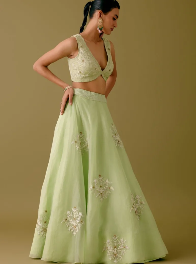 Pistachio Green Dori And Sequins Embroidered Lehenga Set