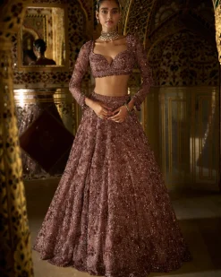 Plum Crystal Lehenga Set