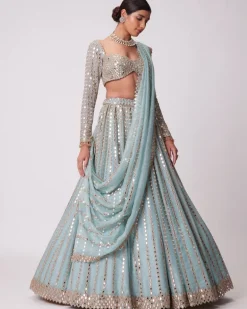Powder Blue Linear Embroidered Lehenga Set