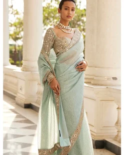 Powder Blue Organza Sari Set