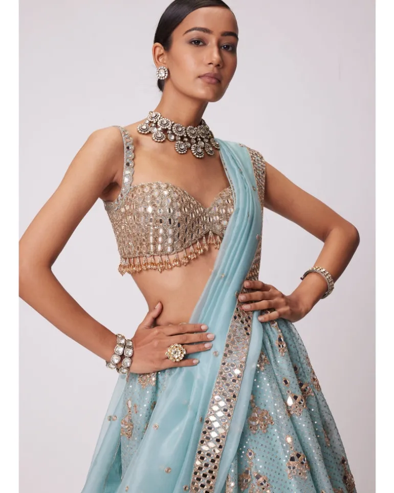 Powder Blue Organza Sequin Embroidered Lehenga Set