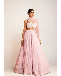 Powder Pink Flower Lehenga Set