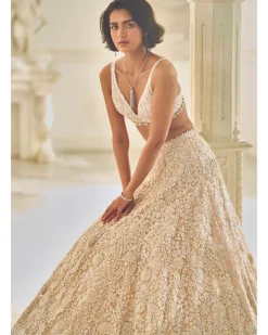 Powder Pink Three-Dimensional Lehenga Set