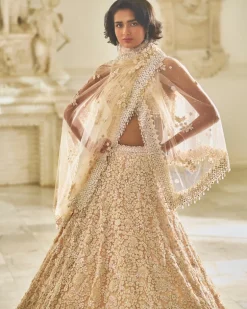 Powder Pink Three-Dimensional Lehenga Set