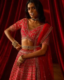 Rani Aahana Lehenga Set