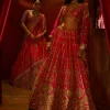 Rani Aakruti Lehenga Set