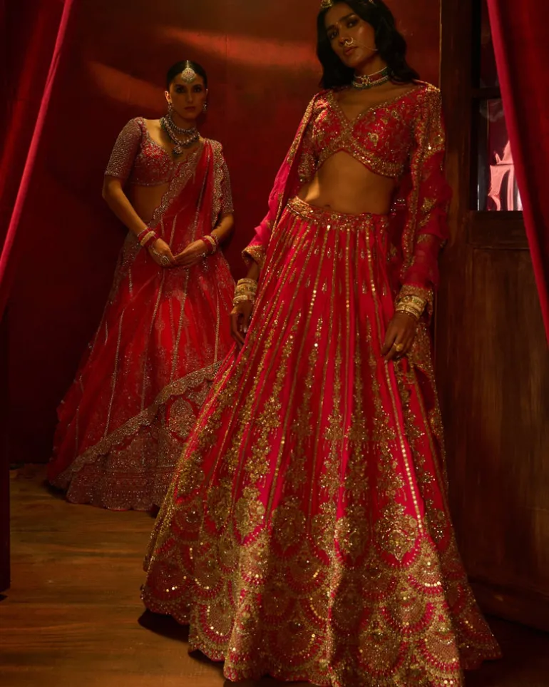 Rani Aakruti Lehenga Set
