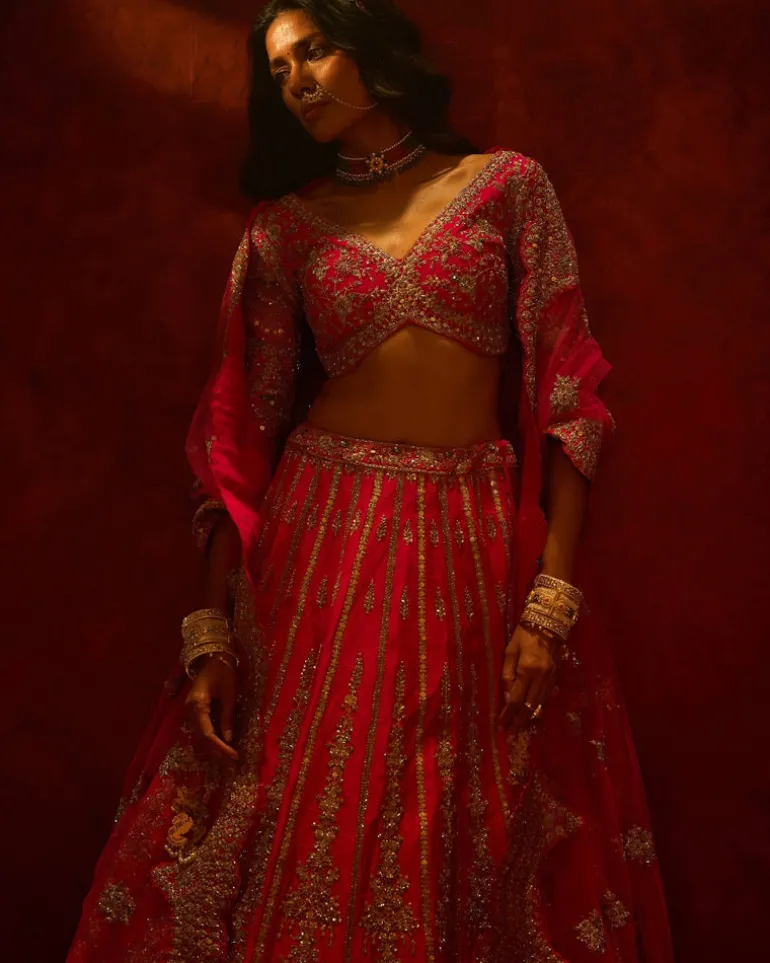 Rani Aakruti Lehenga Set