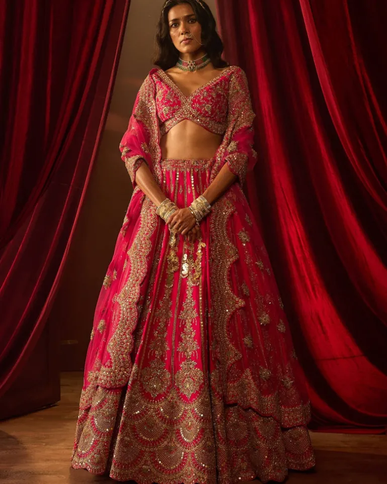 Rani Aakruti Lehenga Set
