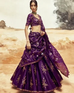 Ranisa Baingani Lehenga Set