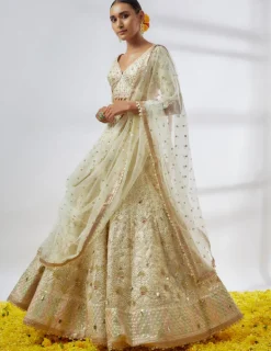 Rashi Lehenga Set
