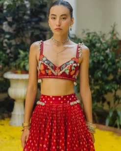 Red Bandhini, Poppies and Shells Crop