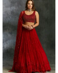 Red Thread work Lehenga With Embellished Choli