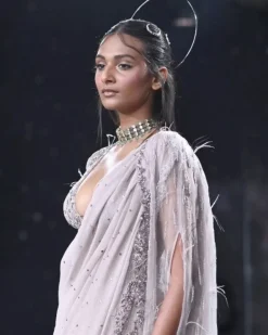 Rhea Chiffon Sari Set