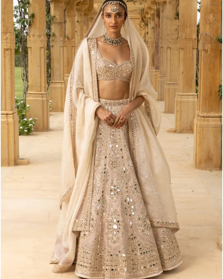 Rose Gold Coconut Embroidered Lehenga Set