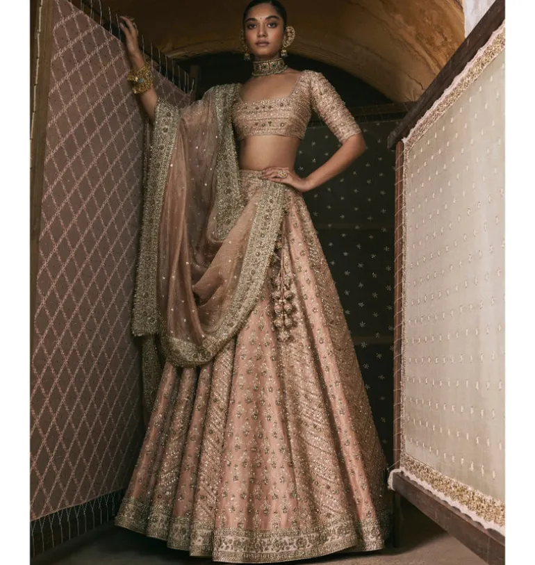 Rose Pink Panels Lehenga Set
