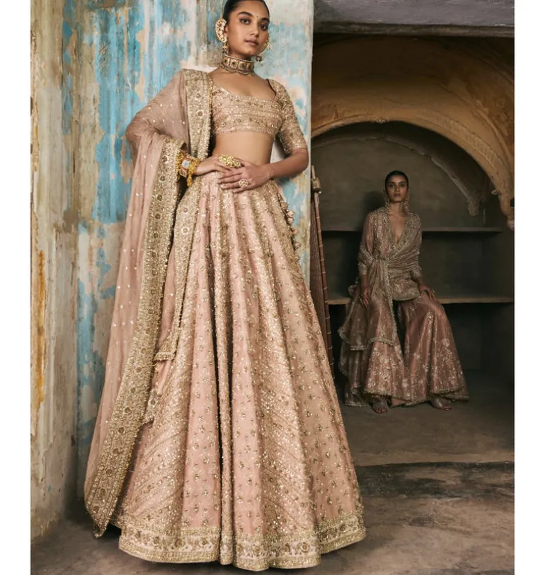 Rose Pink Panels Lehenga Set