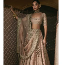 Rose Pink Panels Lehenga Set