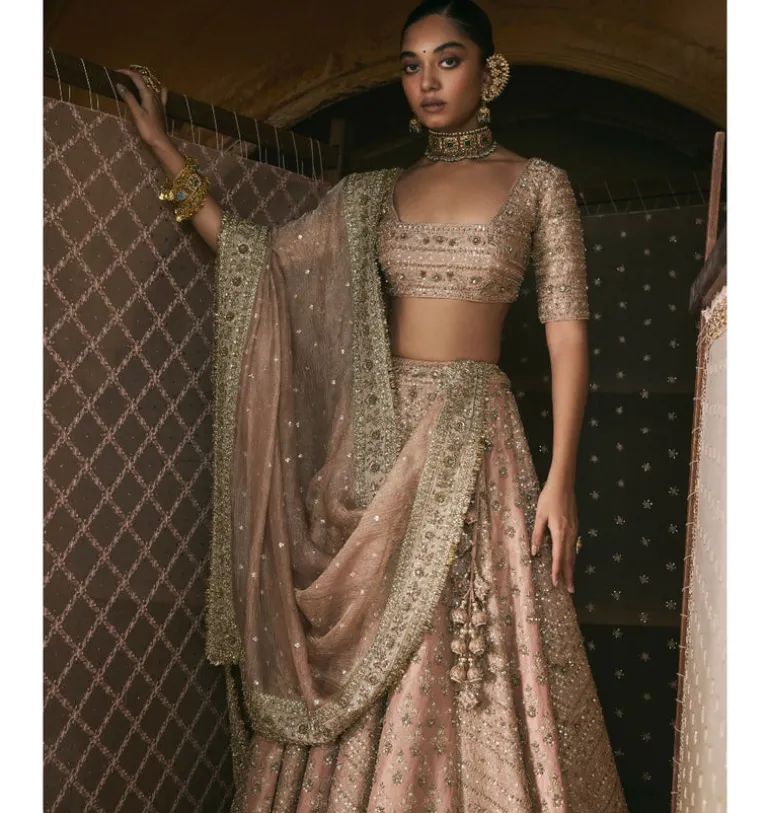 Rose Pink Panels Lehenga Set