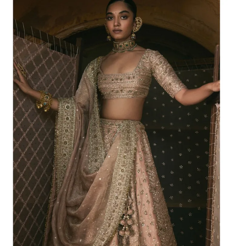 Rose Pink Panels Lehenga Set