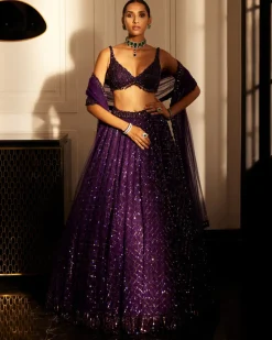 Royalty Purple Crystal Embroidered Lehenga Set