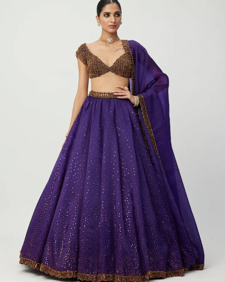 Royalty Purple Sequins Scattered Lehenga Set