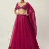 Ruby Red Organza Lehenga Set