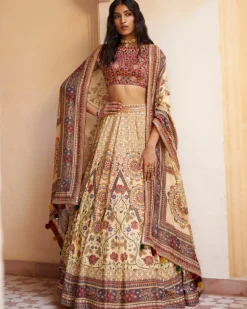 Rust Embroidered Paneled Lehenga Set