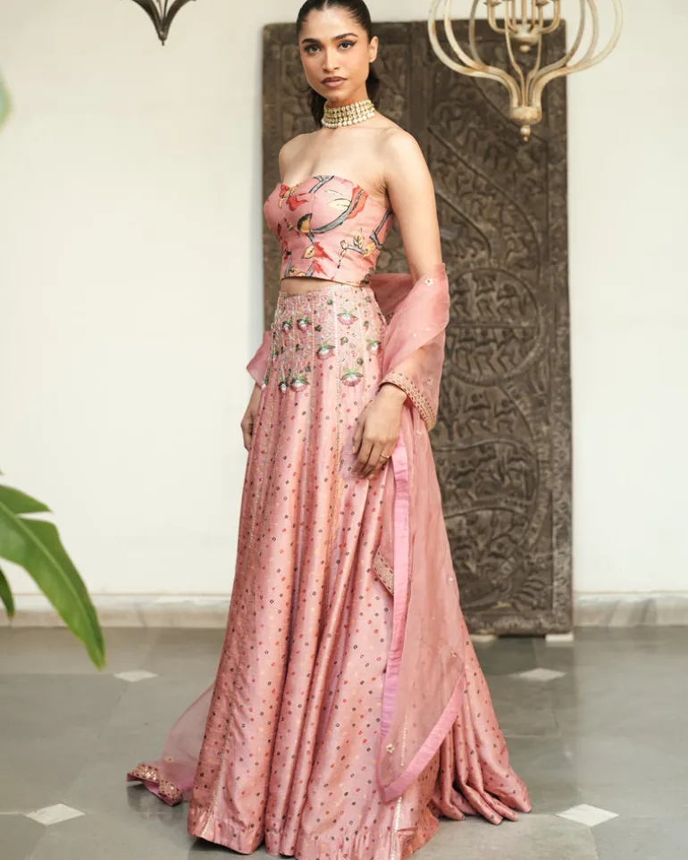 Shanaya Bustier Lehenga Set