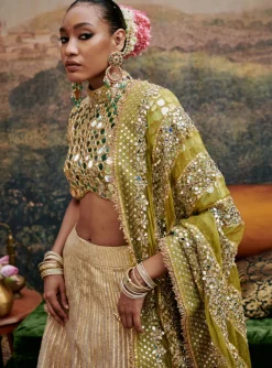 Sheesh Saanjh Lehenga Set