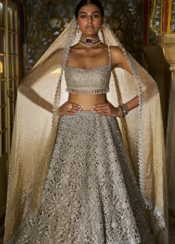 Silver Geometric Cut work Lehenga
