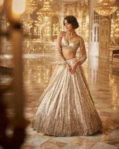 Silver Gold Crystal Lehenga Set