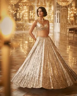 Silver Gold Crystal Lehenga Set