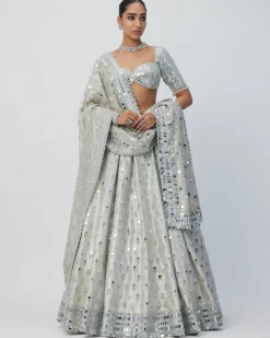 Silver Shimmer Organza Lehenga Set