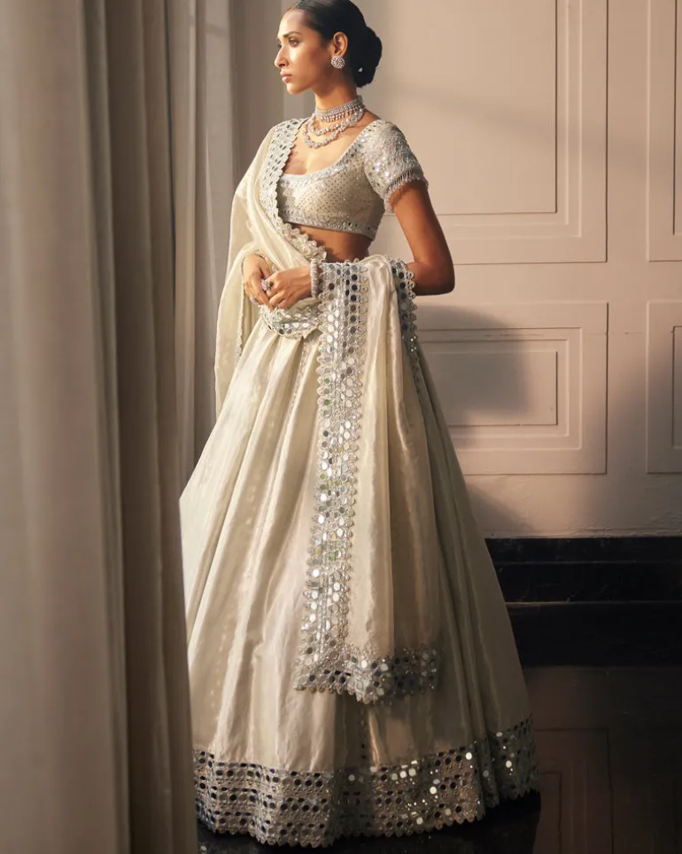 Silver Shimmer Organza Linear Lehenga Set
